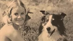 Reproducir Dark Lantern Entertainment presenta: Coño peludo retro Encuentro bestial vintage